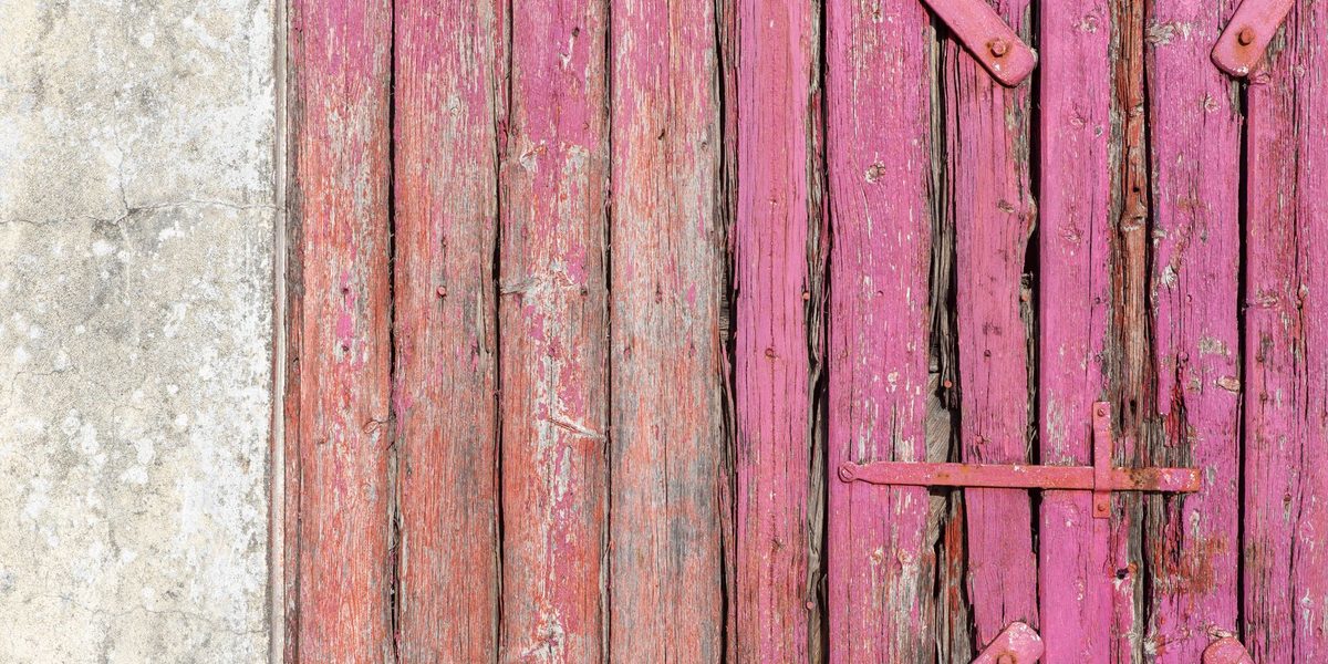 Garden and Hand Tools That Outlast Their Owners — and Ones That Won't