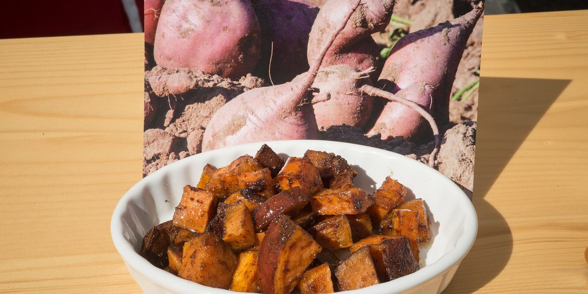 Are Meal-Kit Subscriptions Worth It? An Honest Verdict